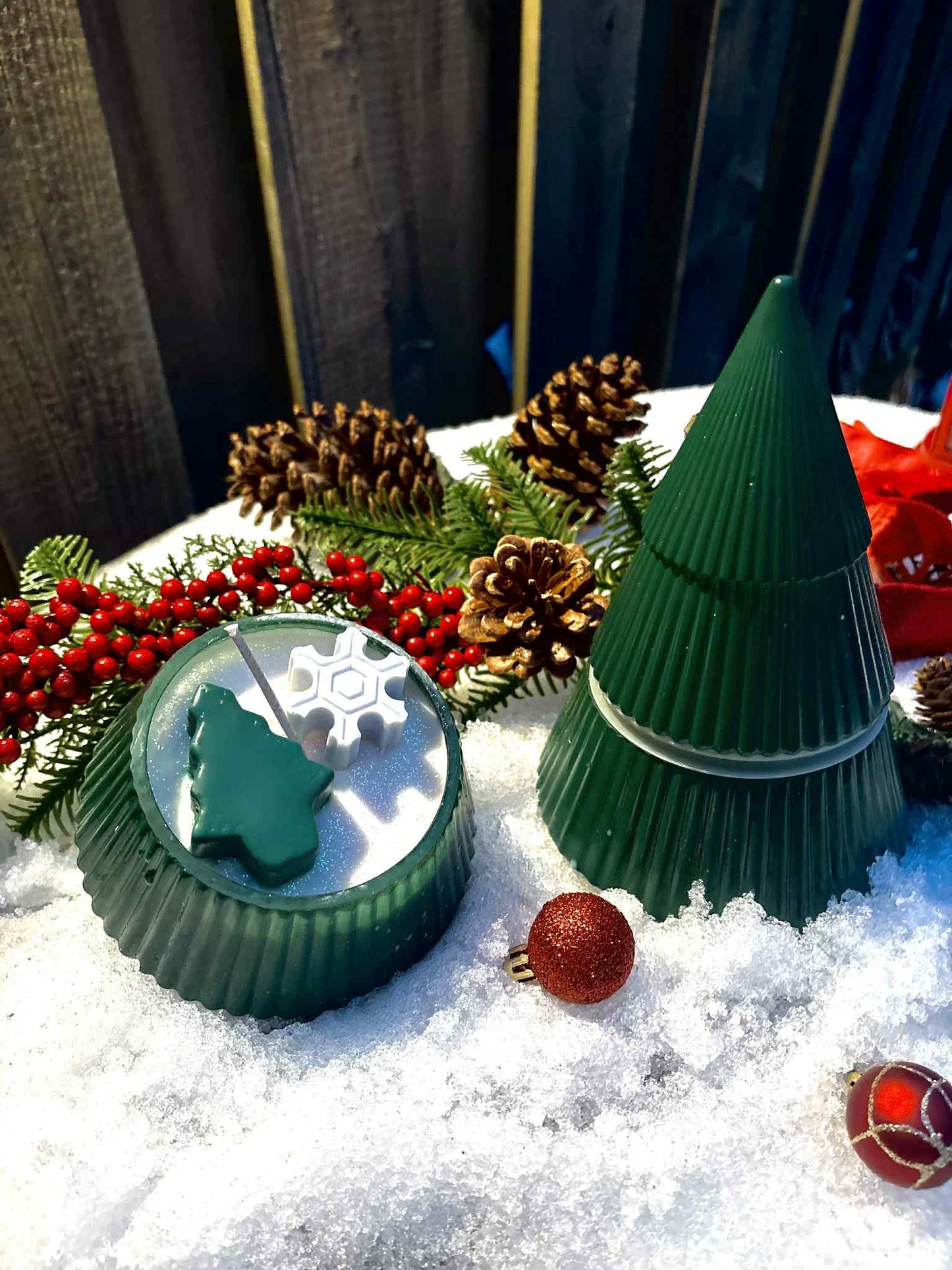 Sapin - foret boréale et forêt