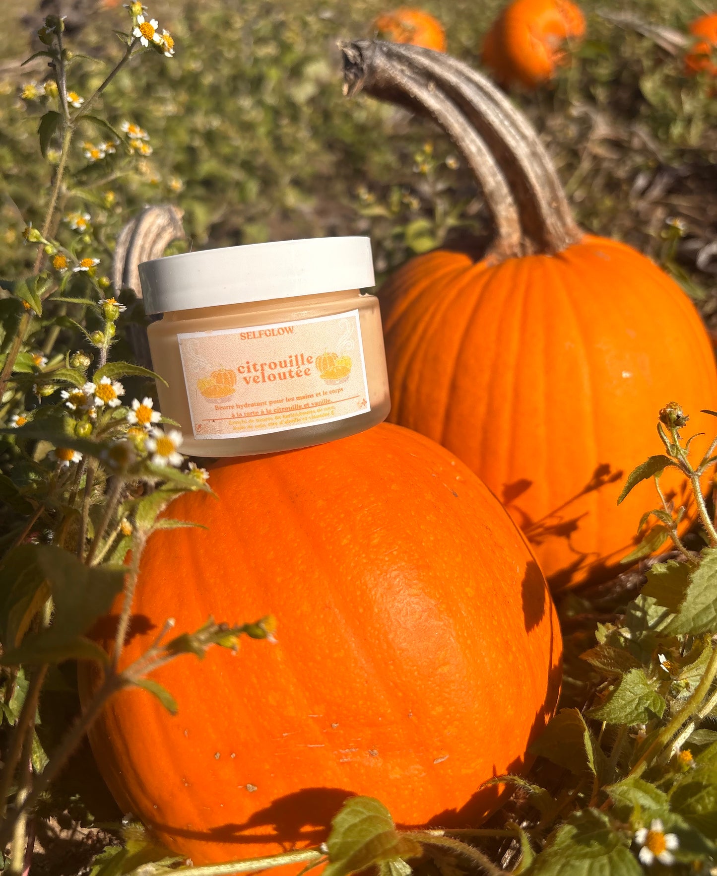 Beurre hydratant mains/corps riche - Citrouille veloutée